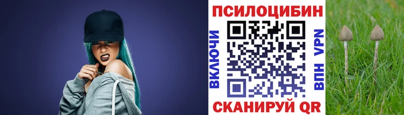 OMG онион Усолье Псилоцибиновые грибы мицелий