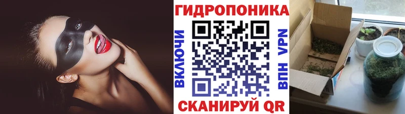 kraken зеркало  Усолье  Шишки марихуана индика  где купить  
